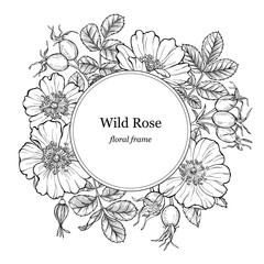 Wild rose flowers and berries round frame. Line art drawing. Outline vector floral border, rosehip background