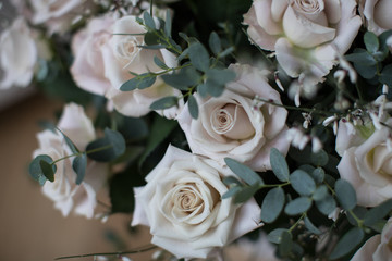 beautiful exclusive roses