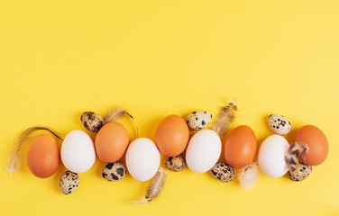 Easter concept. White and brown chicken eggs, quail eggs with feathers on a yellow background. Copy spase, top veiw