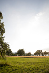 Landschaftsaufnahme mit Platz f&uuml;r Text