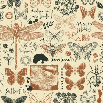 Vector seamless pattern with insects and medicinal herbs in retro style. Hand-drawn herbs, butterflies, beetles, sketches and inscriptions on an old paper background. Wallpaper, wrapping paper, fabric