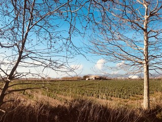 delta del llobregat