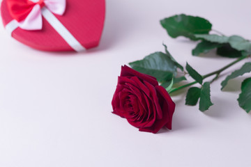 red rose and a gift in a box in the shape of a heart on a light background