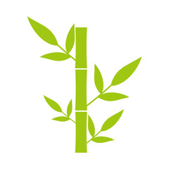 Bamboo vector icon illustration symbol