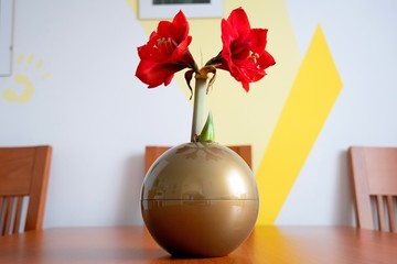 red roses in a vase