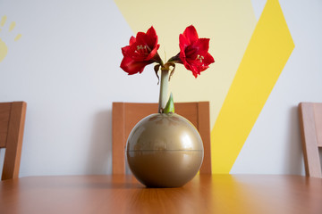 red roses in a vase