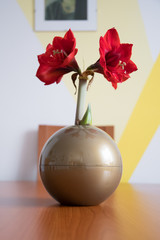 red roses in a vase
