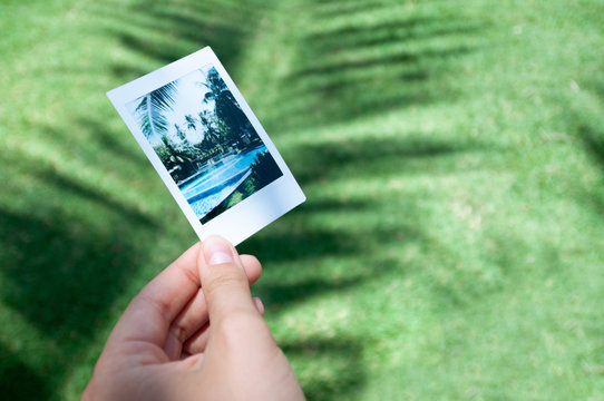 Instant ptoto with swimmig pool on palm shadow background