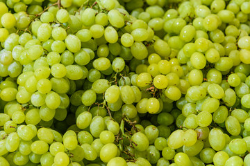 bunch of green grapes