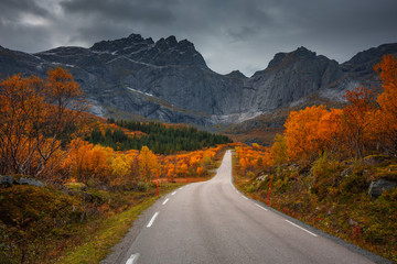 Autumn in Lofoten wiht pretty colours and great light. Norway landscapes with mountains.