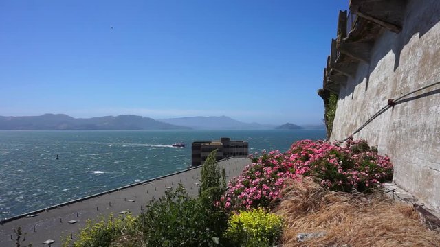 View from Alcatraz Island to the bay of San Francisco with beautiful flowers moved by the strong wind and a ship in the background
