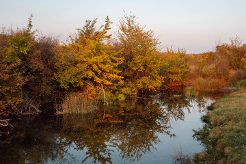A beautiful autumn landscape, close-up view of a small river with lush colorful autumn vegetation along its banks, reflecting in the calm waters, Skat river, Bulgaria.
