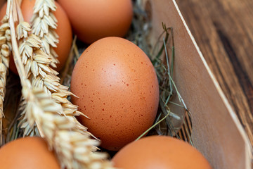 farm brown eggs with straw in birch bark box wooden background close-up