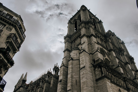 cathedral of notre dame in paris
