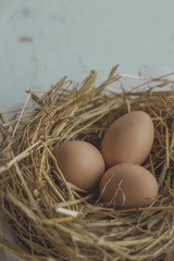 Organic chicken eggs in the hay on a white background. Easter concept.
