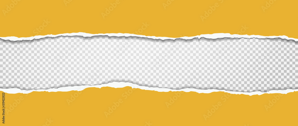 Aufkleber torn, ripped pieces of horizontal squared paper with soft shadow are on grey background for text. ve