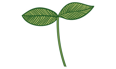 植物のイラスト：葉っぱ、葉脈、原始的なイメージ