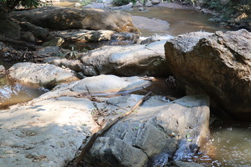 stream in the forest