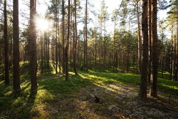Karelia