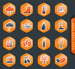 Autumn icons set