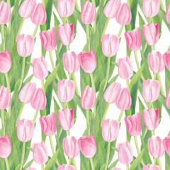 Watercolor Blooming Pink Tulips with Green Leaves Seamless Pattern. Flowers on White Background. For Card, Textile, International Women's Day, 8th March, Mother's Day, Spring and Summer Theme