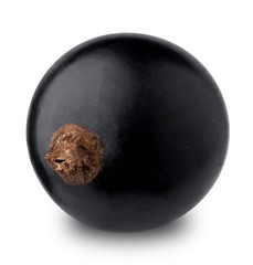 Closeup of black currant berry isolated on a white background.