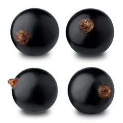 Set of black currant berries isolated on a white background.