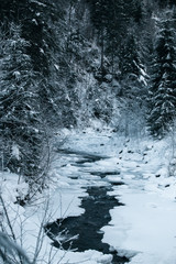 creek in winter