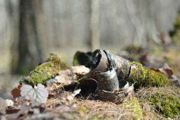 Old birch bark in the forest.