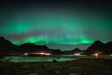 Aurora Borealis in Lofoten and Senja in Norway. Night photography with great sky.