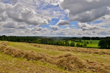 Obraz premium landscape with green field and blue sky