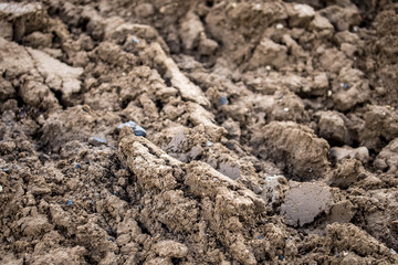 photo de terre d'un champ venant d'être labouré
