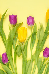 Yellow and purple flowers tulips in a bouquet on a yellow background, a festive spring background greeting card