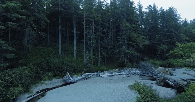 Aerial footage of dark creek in a dense dusky forest (Ruby Beach, Olympic National Park, Washington, USA)