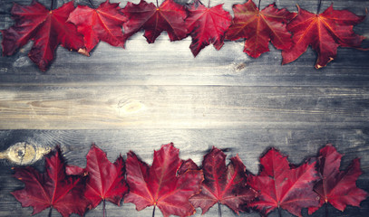 autumn forest with maple trees on wooden background