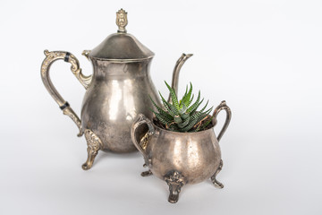 Antique silverware with succulent