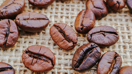Coffee beans. Distributed on a white background.