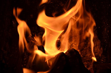 ogień, płomieni, oparzenia, ciepło, gorąco, płomieni, kominek, pomarańcz, gorąca, ognisko, czerwień, ciepły, pożar , pożar lasu , lawa ,żar ,ognisko  © Szymon