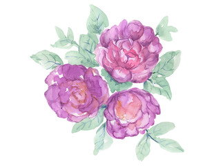 The beautiful of flower art bouquet rose and leaves element watercolor hand drawing illustration