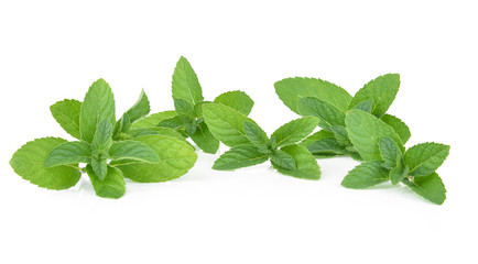 mint leafs isolated on a white background