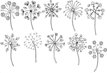 Vintage floral and herbal set. Graphic collection with fantasy flowers of dandelion. Hand drawn elements. Botanical illustrations on a white background