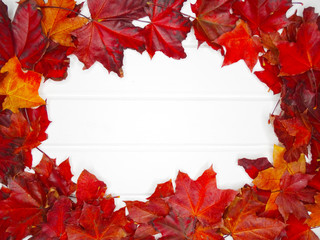 autumn forest with maple trees on wooden background