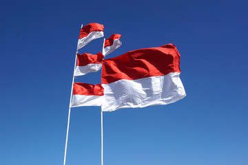 The Indonesian flag (Merah Putih) flew on independence day