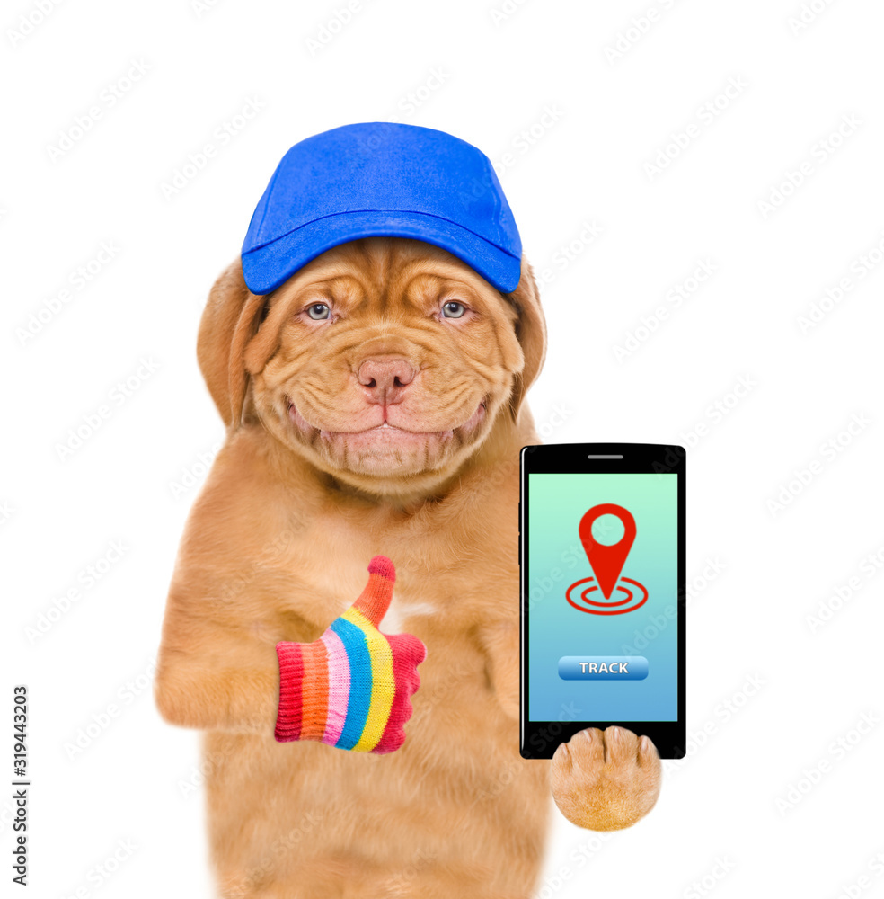 Poster smiling puppy wearing a blue cap holds smartphone with tracking symbol and shows thumbs up. tracking