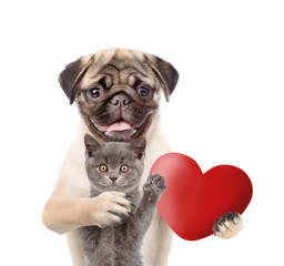 Pug puppy hugs kitten and holds heart in it paw. Valentines day concept. isolated on white background