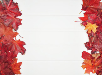 autumn forest with maple trees on wooden background