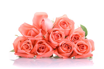 orange peach color tone of rose flower bouquet isolated on white background