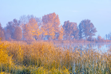 Fototapeta premium Early misty morning. Sunrise over the lake. Rural landscape in autumn. Wilderness. Serenity lake