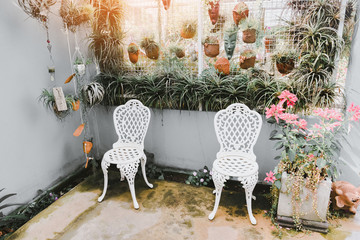 Home gardening and decorating indoor greenhouse environments secret garden and modern gardening setups flowers and plants and greenery in workspaces with vintage chair and live wall