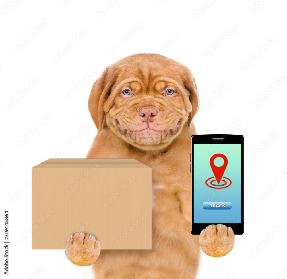 Poster Smiling puppy holds smartphone with tracking symbol and big box. tracking concept. isolated on white background